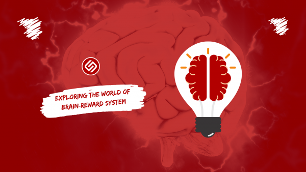 The Brain Reward System: How Does It Work?