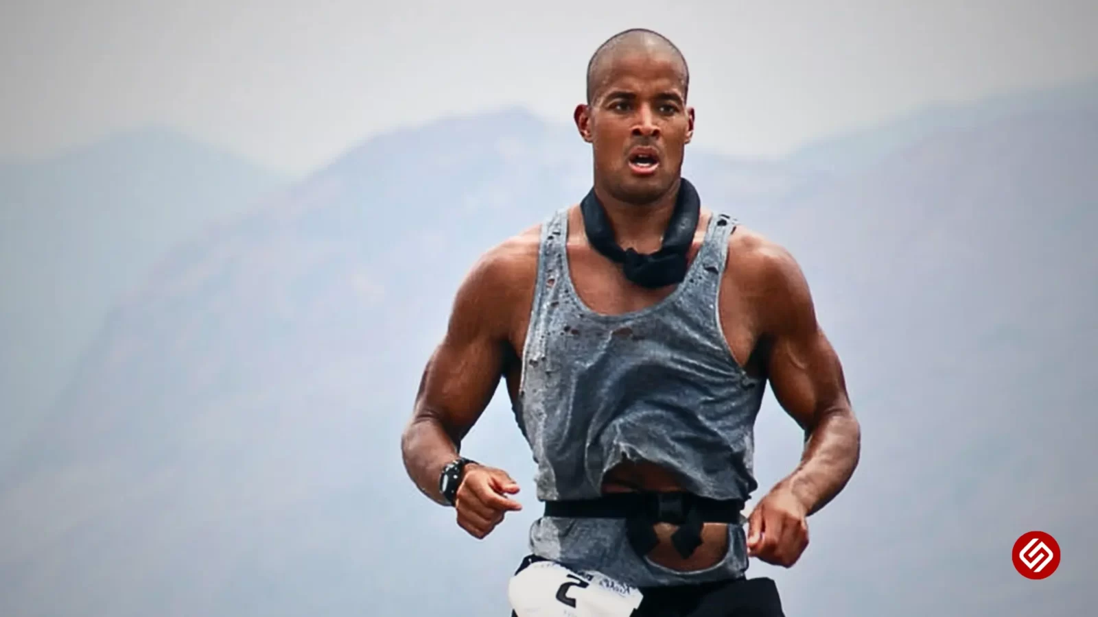 Forging Mental Resilience: Insights from David Goggins Quotes - Survived  Nation